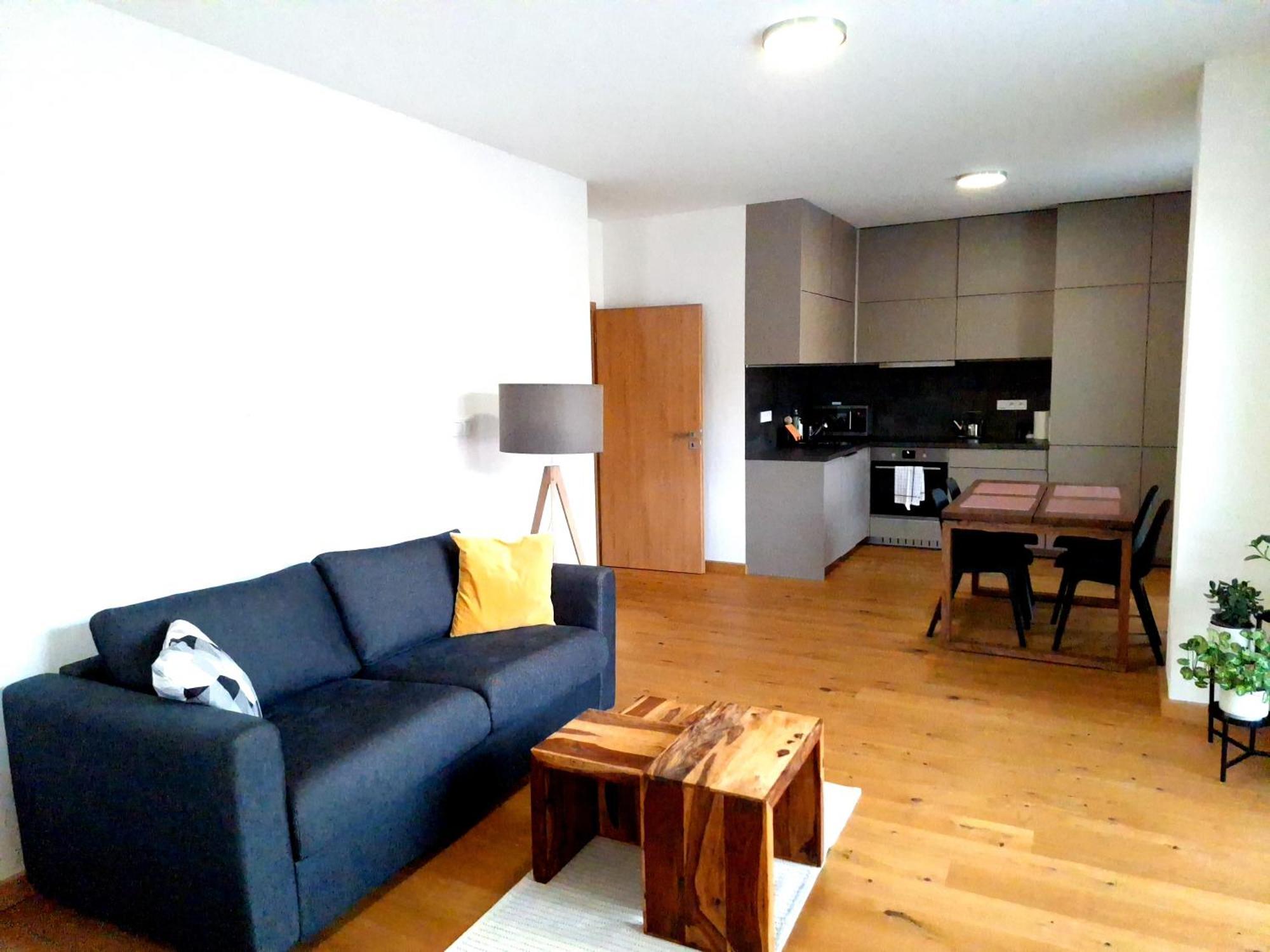 Studio Apartman 22, Rezidence Javor Железна Руда Екстер'єр фото