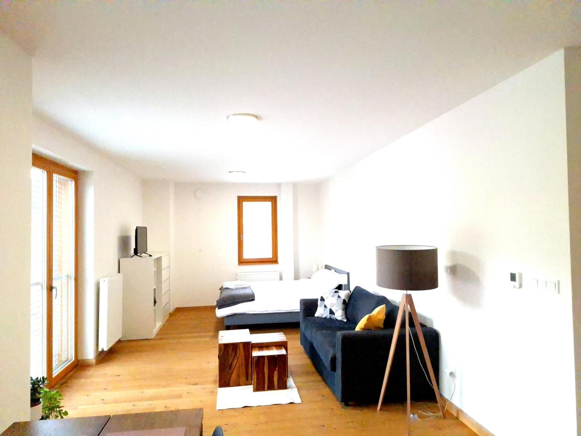 Studio Apartman 22, Rezidence Javor Железна Руда Екстер'єр фото
